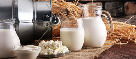Fromages au lait cru